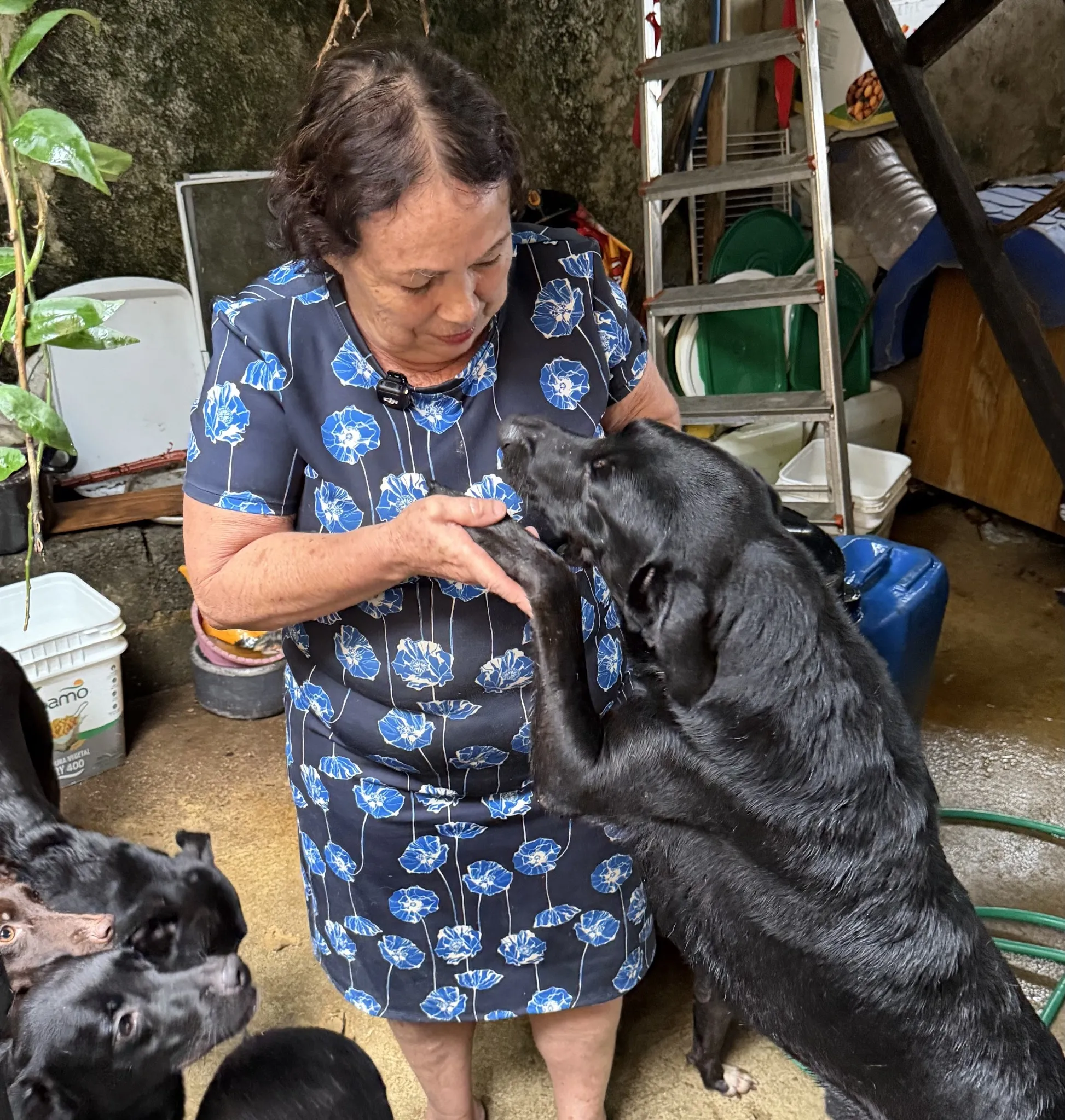 Imagem real de resgate