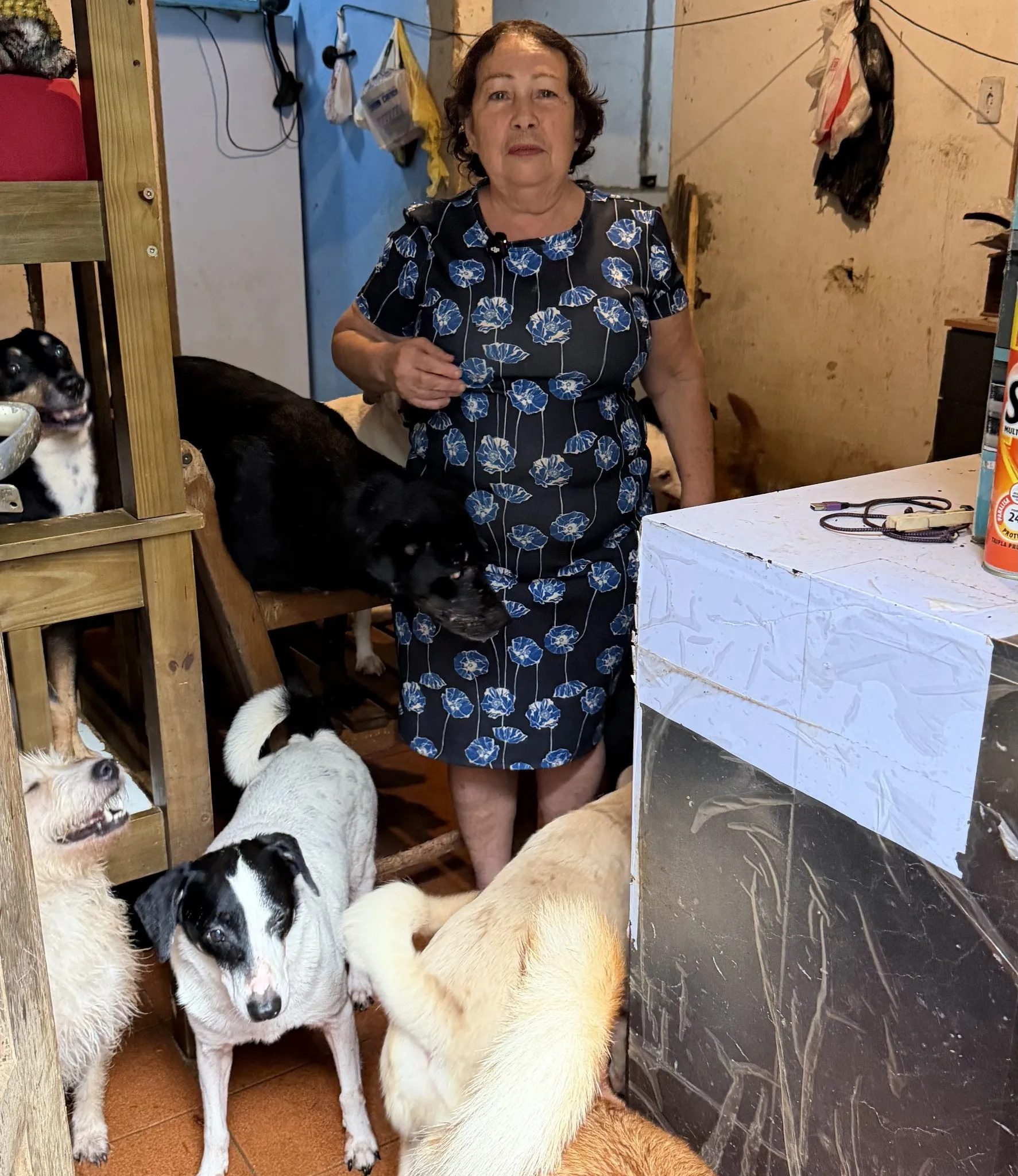 Imagem de recuperação